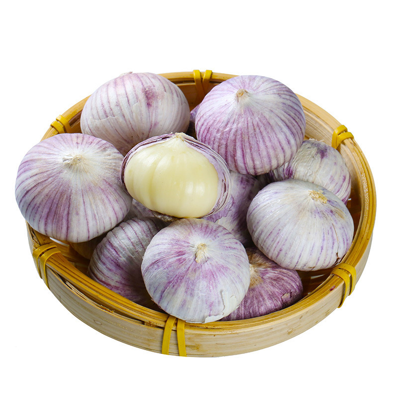 Fresh Solo garlic single clove garlic factory directly supply FOB Reference Price:Get Latest Price