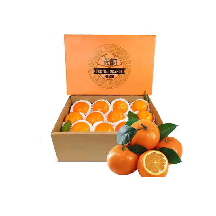 Fresh Citrus Factory Mandarin Price Wogan Mandarin Navel Orange