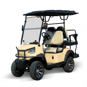 TONGCAI luxury Explore Prices Golf Carts Electric Single Seat Vintage Lithium 72v Battery Mini Motor 4 Seater Car For Sale