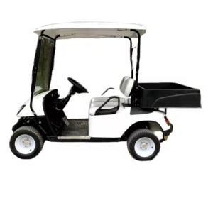 TONGCAI golf push cart cooler2024 best chassis kits ebike pink petrol 6 seater rear axle electric 4 seater pakistan seat cover