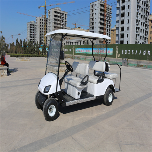 TongCai's Latest 6 Seat Motorized sightseeing bus club car unique design  Electric Golf Golf Cart