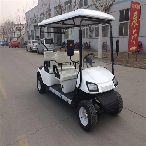 TongCai's Latest 6 Seat Motorized sightseeing bus club car unique design  Electric Golf Golf Cart