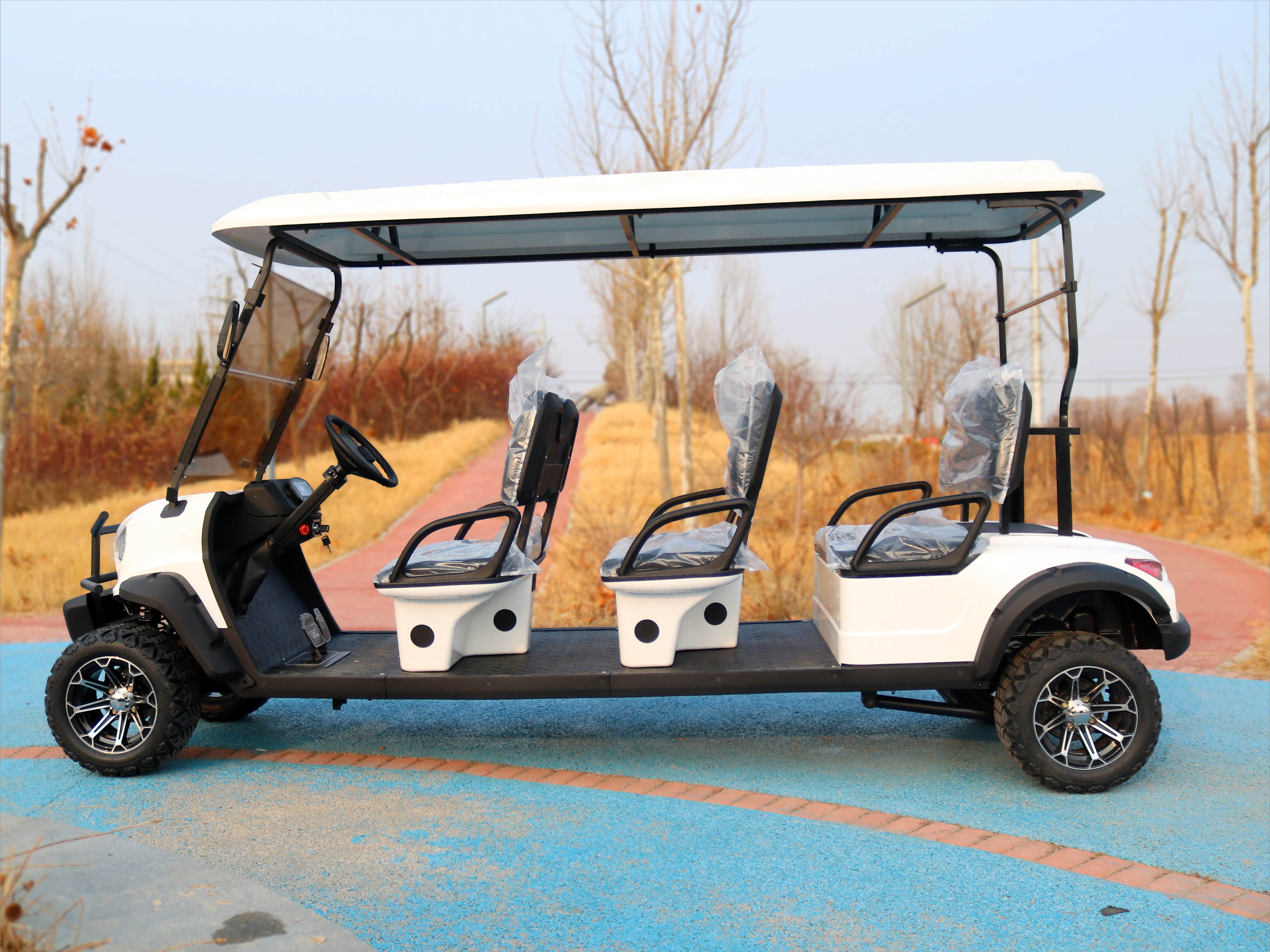 TONGCAI 72v High Quality 8-Seater Modern Buggy from China Wholesale Availability Electric Golf Cart