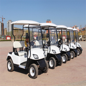 Tong Cai Electric Golf Buggy Car Aluminium 48V electric golf cart scooter 5kw Motor 2-SeaterScooter with 90km  golf cart