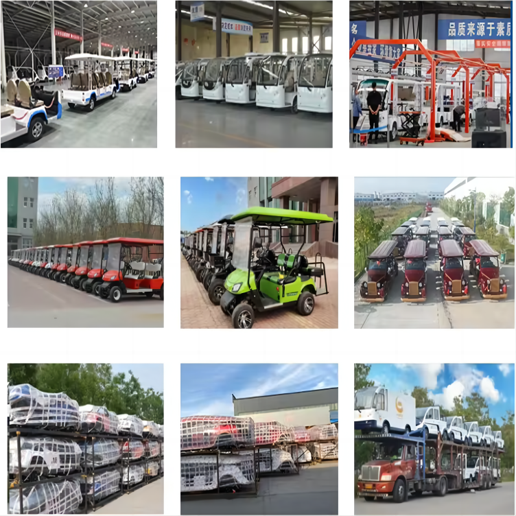 TONGCAI gas engine garage door mini club golf made china two seater rain curtains electric push sports car six seat golf cart