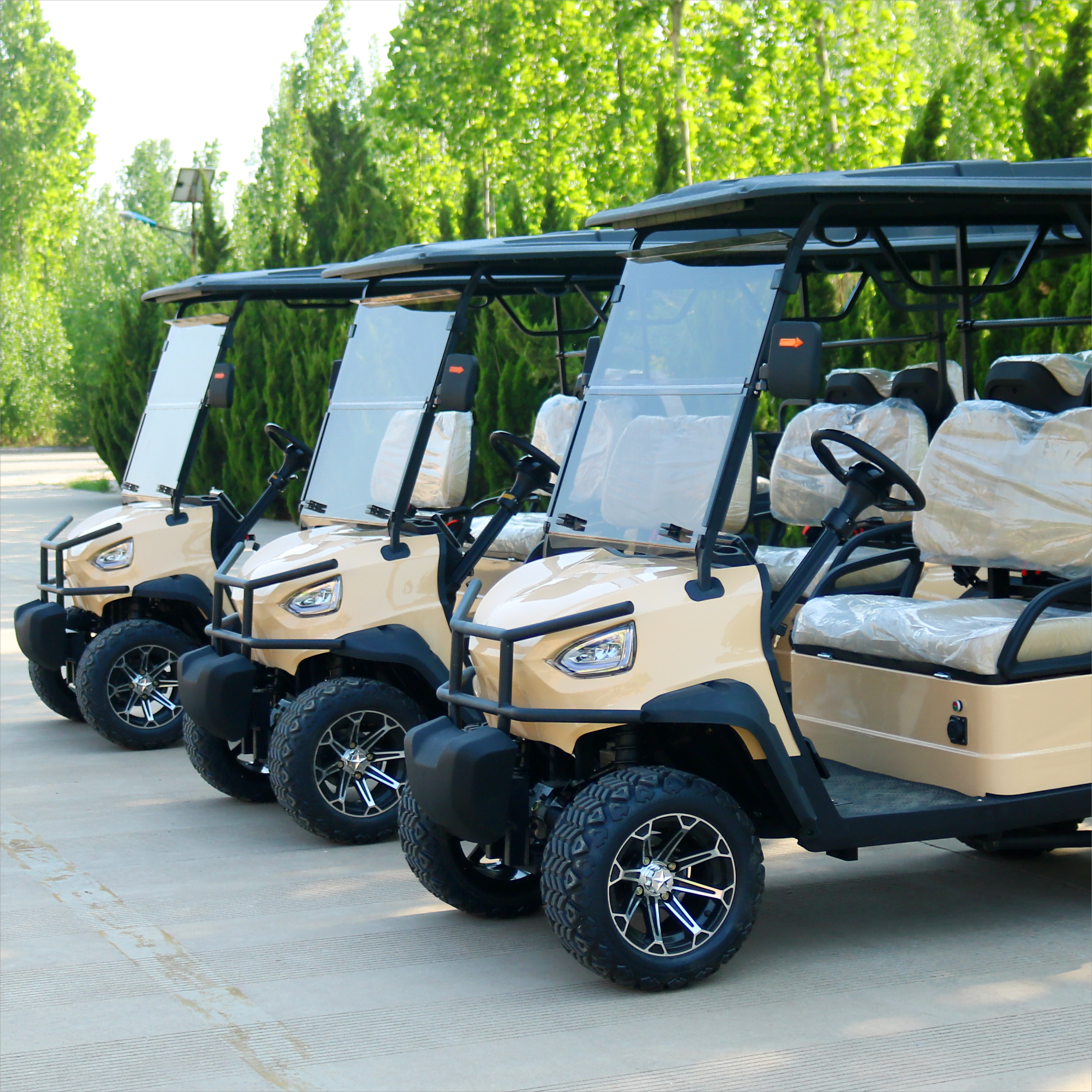 TONGCAI New Model 48v Cheap Price Electric 4 Seat Customized Electric Golf Cart Buggy 2 4 6 8 Seater Golf Cart