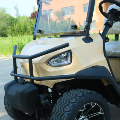 TONGCAI High Quality Custom Golf Cart 6 Seater Electric Golf Buggy with Rear Flip Flop Seat at good price BestSuppliers