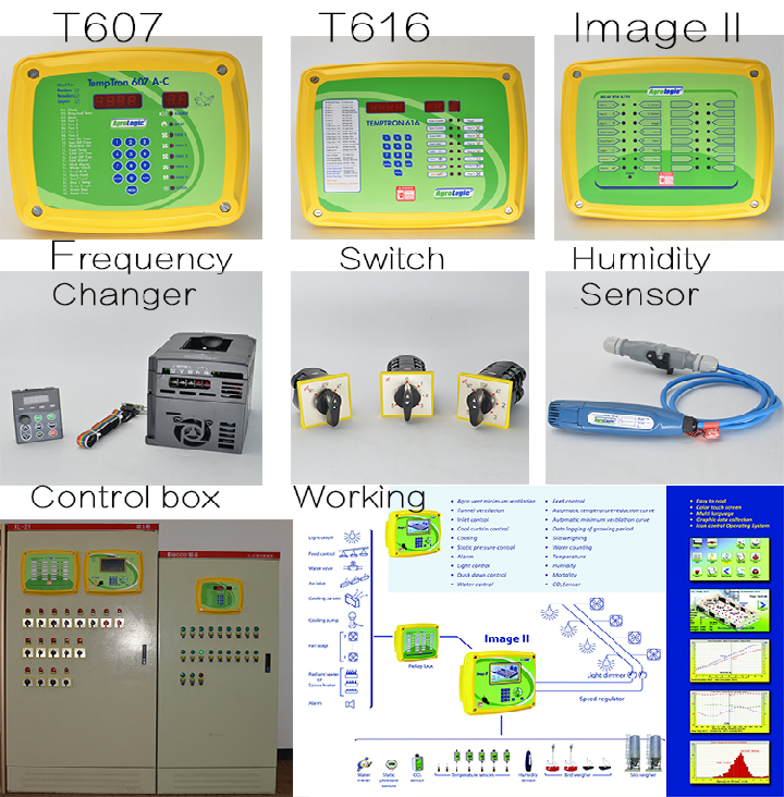 Poultry farm equipment automatic chicken farm house raising system  for broiler chicken