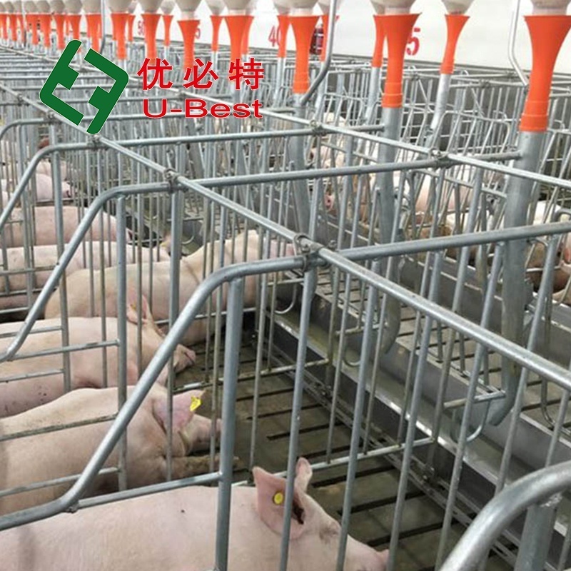 Good Price Pig Breeding Equipment Sow Pen Farrowing Pen For Sale Farrowing Crates