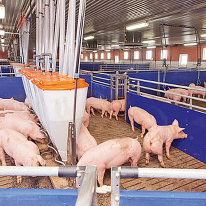 Factory Direct Pig Breeding Equipment Sow Pen Farrowing Pen For Sale Farrowing Crates