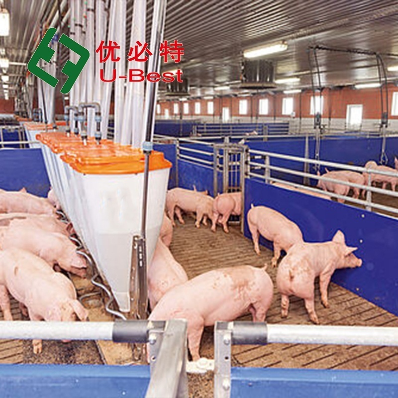 Good Price Pig Breeding Equipment Sow Pen Farrowing Pen For Sale Farrowing Crates