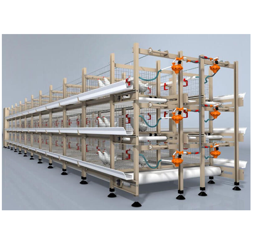 OEM poultry equipment chicken feeder cage system for broilers poultry automatic broiler cage