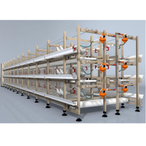 OEM poultry equipment chicken feeder cage system for broilers poultry automatic broiler cage