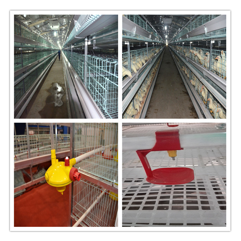 OEM poultry equipment chicken feeder cage system for broilers poultry automatic broiler cage