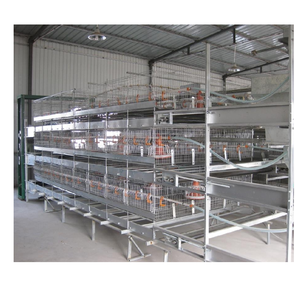 OEM poultry equipment chicken feeder cage system for broilers poultry automatic broiler cage