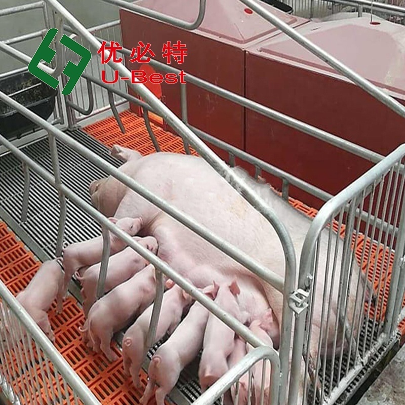 Good Price Pig Breeding Equipment Sow Pen Farrowing Pen For Sale Farrowing Crates