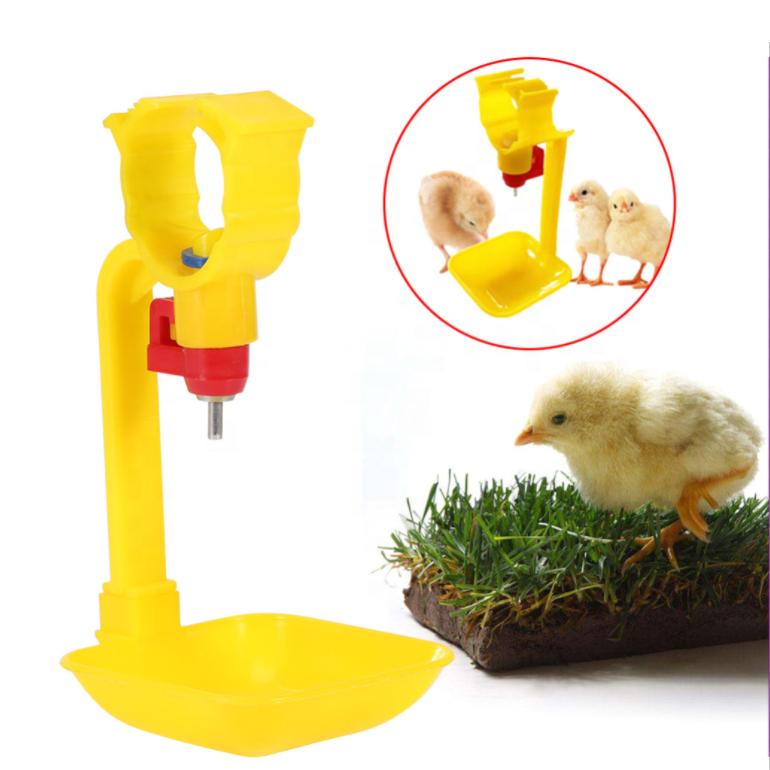 Automatic Chicken Bird Coop Poultry Water Drinking Bowl Plastic Chicken Chick Fowl Nipple Drinker Drip Bowl Chicken Farm CN;SHN