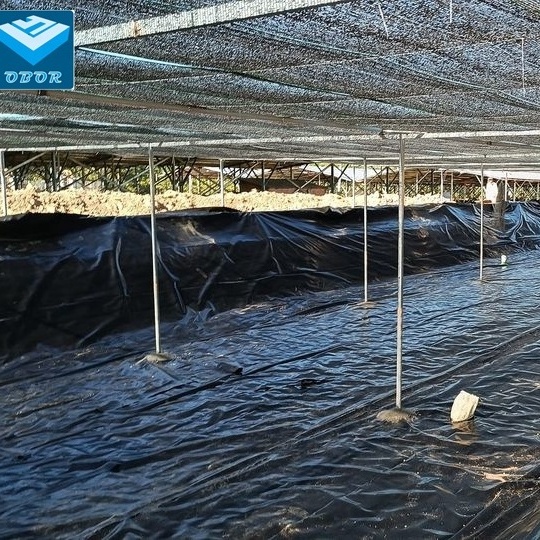 0.5mm  0.75mm   Aquaculture Pond Liner HDPE Geomembrane Custom Pond Liners for Fish Ponds