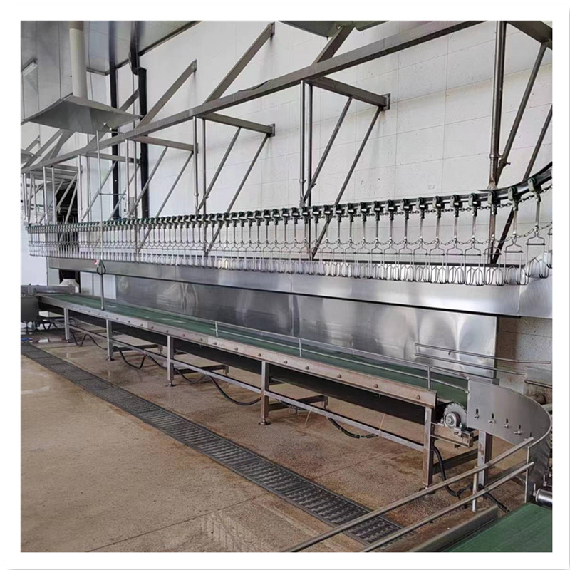 2024 shanghai slaughtering production meat overhead conveyor 1000/hour chicken slaughter line