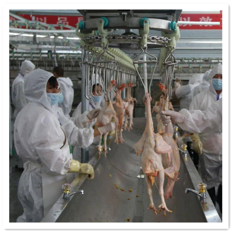 2024 shanghai slaughtering production meat overhead conveyor 1000/hour chicken slaughter line