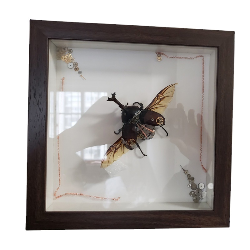 Shadow Box Frame Depth 3CM Display Artwork Flower Plant Photo Home and Office Table Frame DIY Decoration