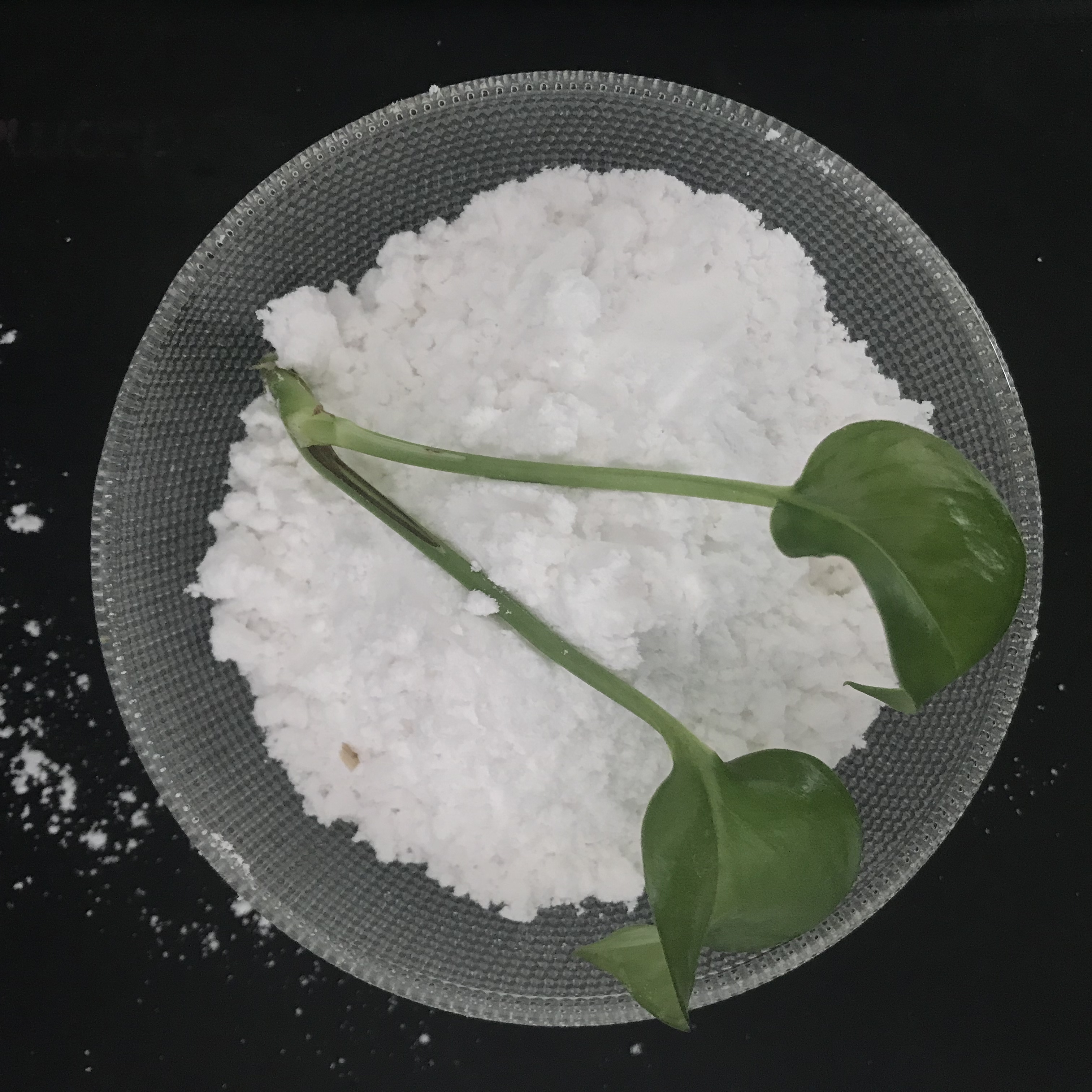 sodium carbonate/soda ash light dense 99.2% powder