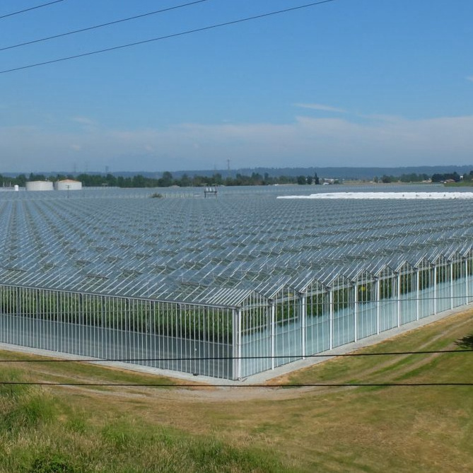 commercial venlo greenhouse garden used glass greenhouse cost for sale