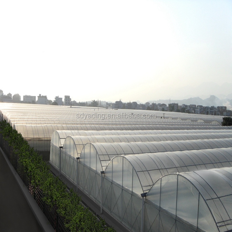 agricultural farm used greenhouse frames for sale