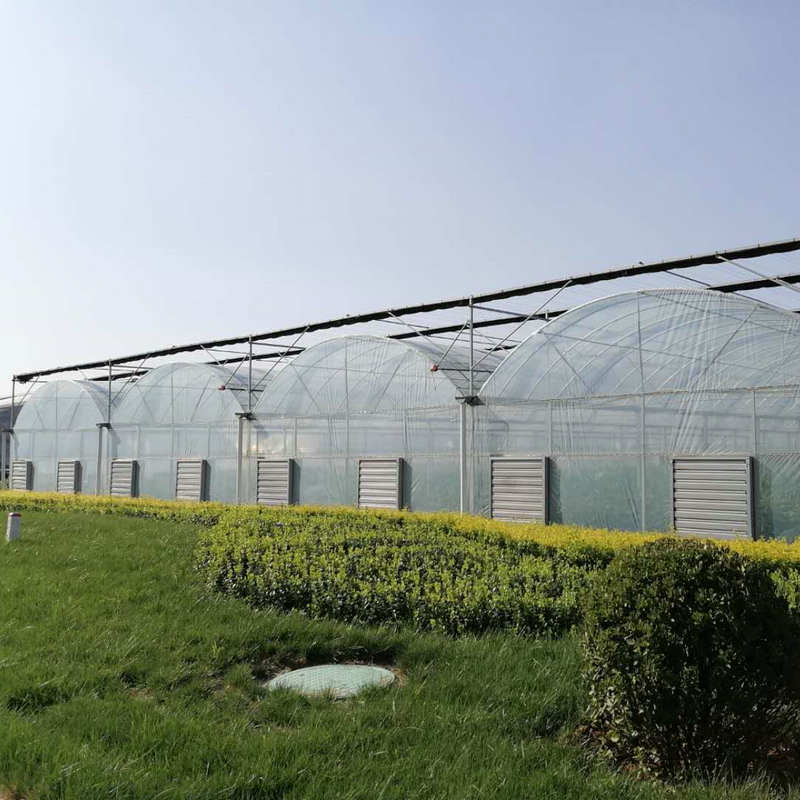 agricultural farm used greenhouse frames for sale