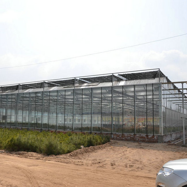 commercial venlo greenhouse garden used glass greenhouse cost for sale