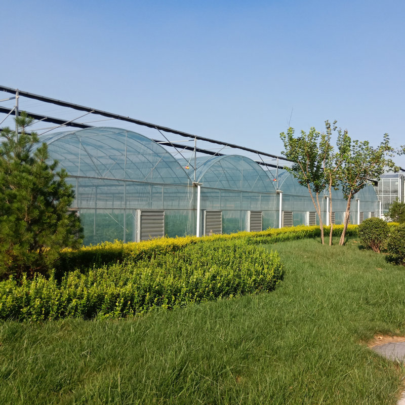 agricultural farm used greenhouse frames for sale