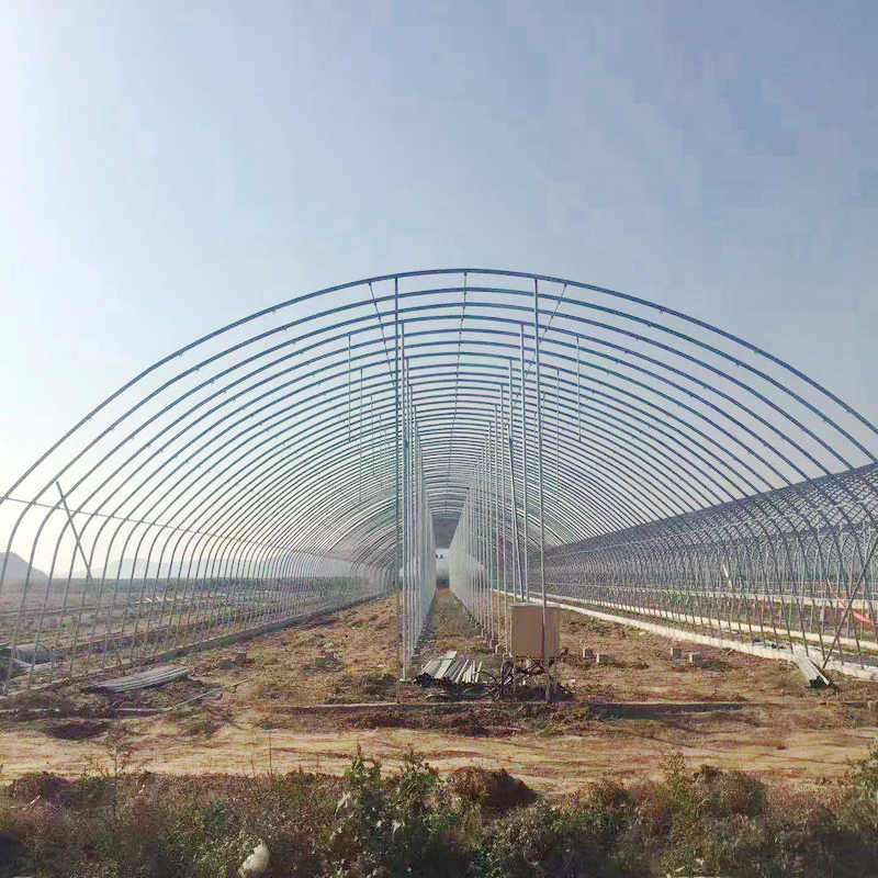 Agricultural tunnel greenhouse thermal blanket