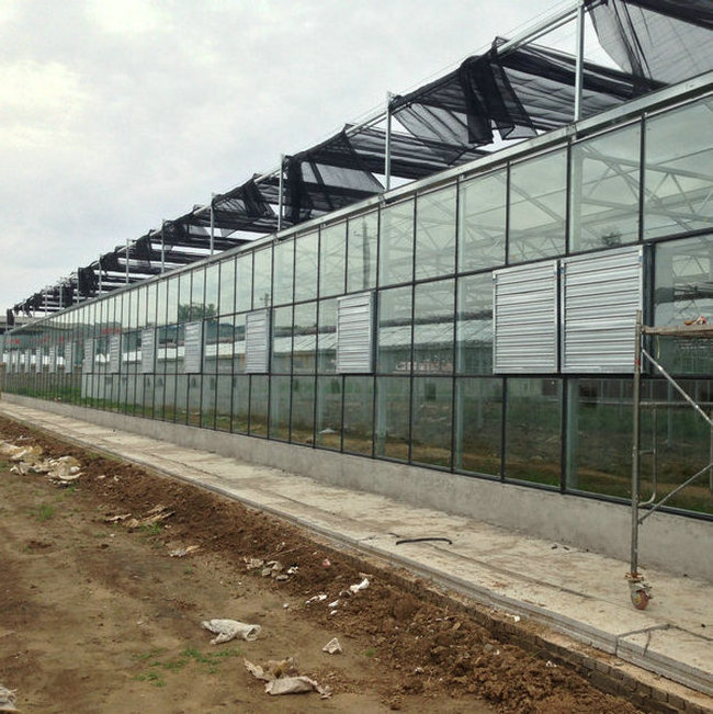 2024 China supplier modern venlo glass greenhouse farming agriculture used for sale