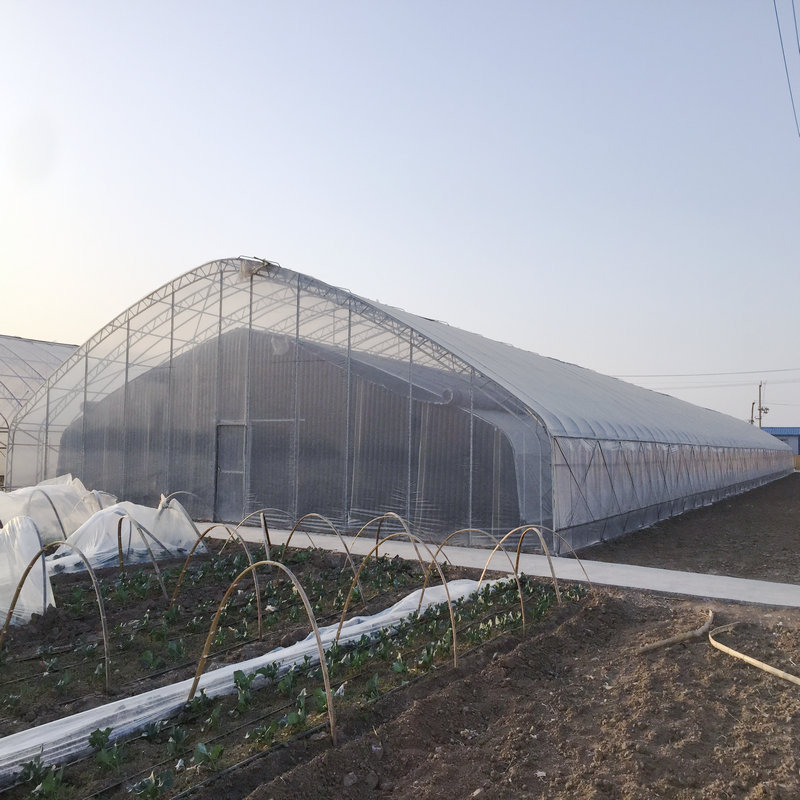 Agricultural tunnel greenhouse thermal blanket