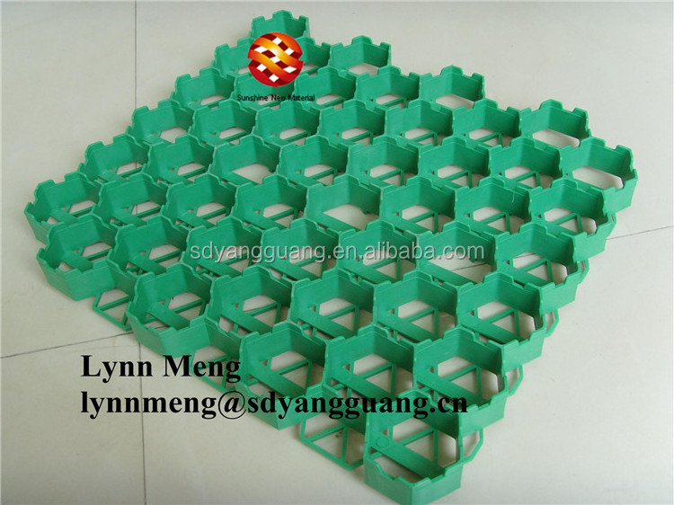 Plastic Paver Grass Grid /Car Parking Lot geogrid price