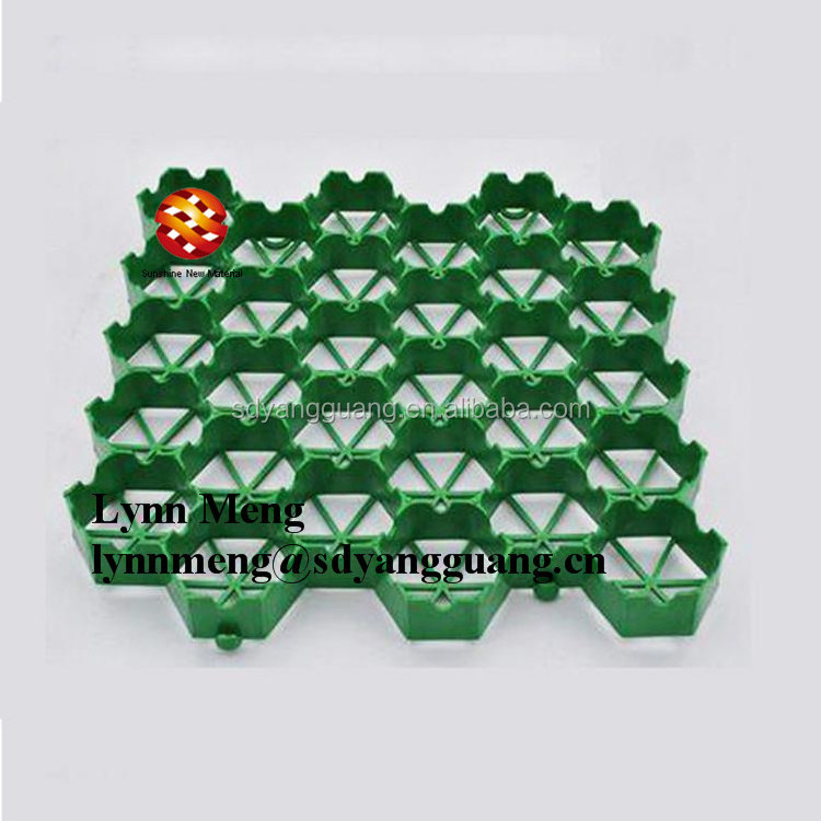 Plastic Paver Grass Grid /Car Parking Lot geogrid price