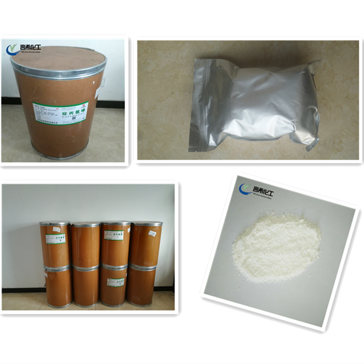 Factory supplier Superior Quality Best price CAS 66170-10-3 Sodium ascorbyl phosphate