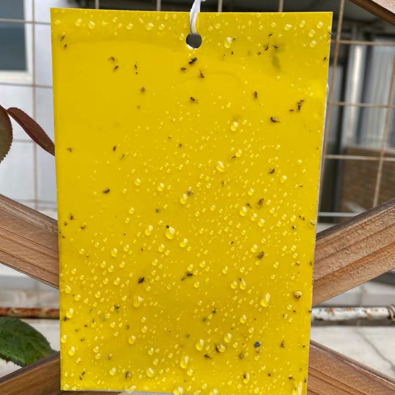 China Quality Greenhouse Orchard Hanging Yellow Sticky Trap Insect Glue Board Trap Flying Insect Catching Control Sticker