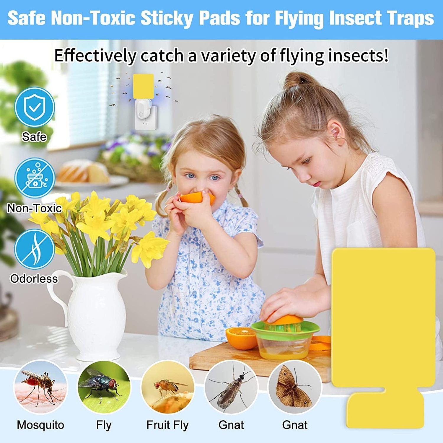 2023 Upgrade Mosquito Trap Gnat Killer Flying Insect Trap Plug-In Fly Trap with Sticky Pad for Flies