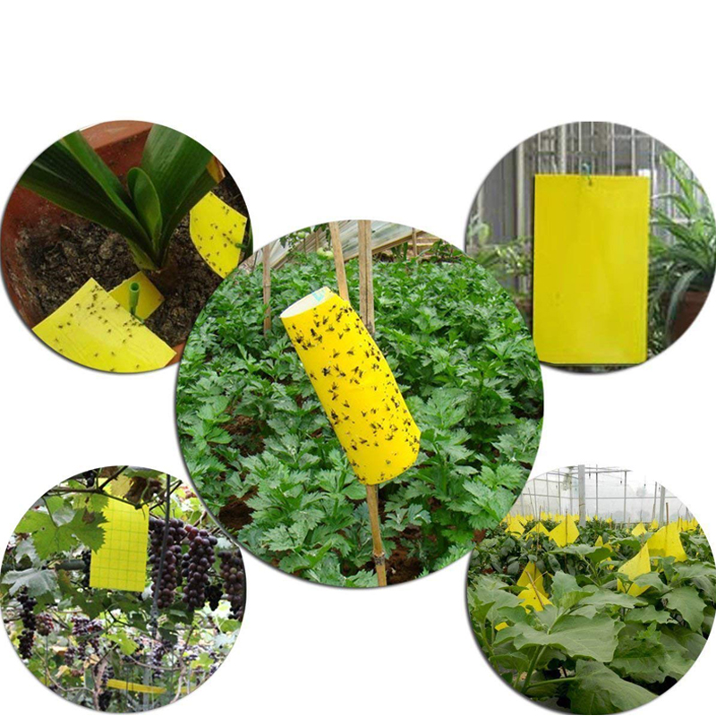 Factory customization Factory Various Sizes Yellow Glue Board Fly Glue Trap