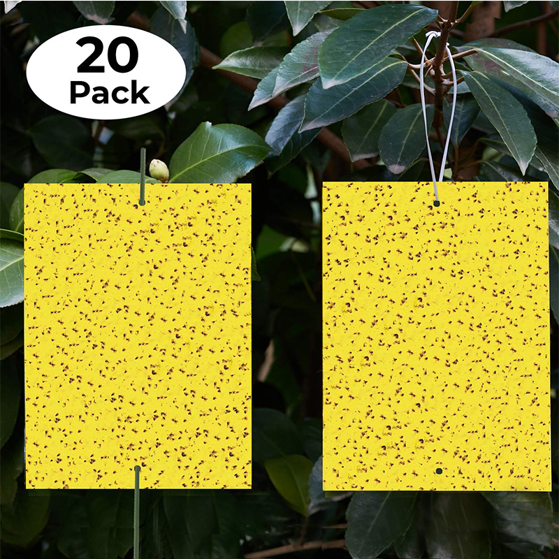 High quality Yellow Sticky Traps Sticky Bug Insect Catcher Glue Trappers for Indoor