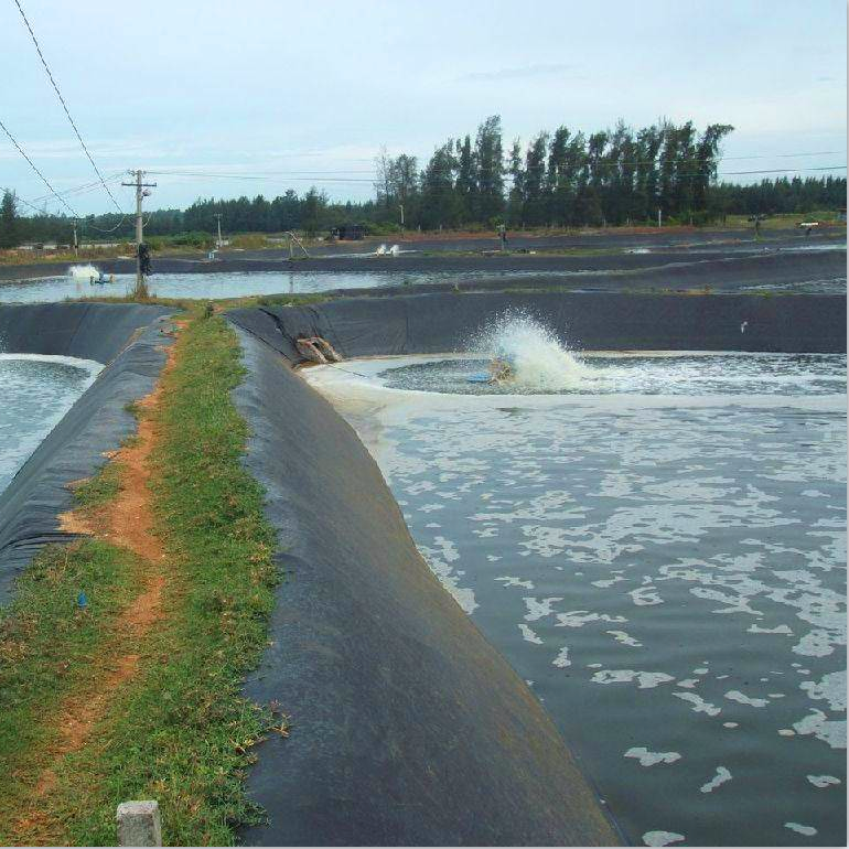 low price rubber liners competitive 100% virgin materia HDPE geomembrane pond liner uv protection rpe liners