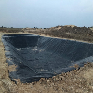 Plastic waterproof GM13 geomembrane hdpe ldpe 1.5mm1mm 0.5mm fish pond liner dam liner