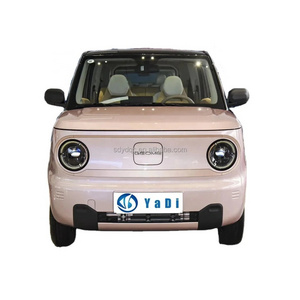 In Stock 2023 China Electric Cars Geely Panda Mini Cheap Price Electric Cars mini car for adult