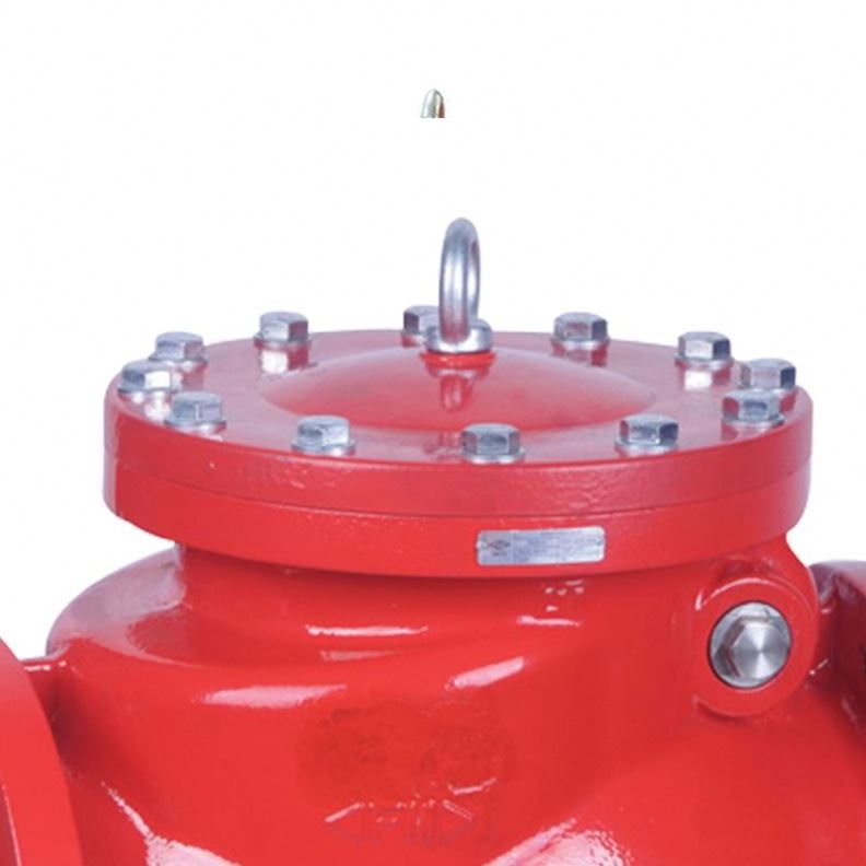 Forged Steel Gate Valve Class 800 Inch Gate Valve Pneumatic Slide Flanged type Swing Check Valve