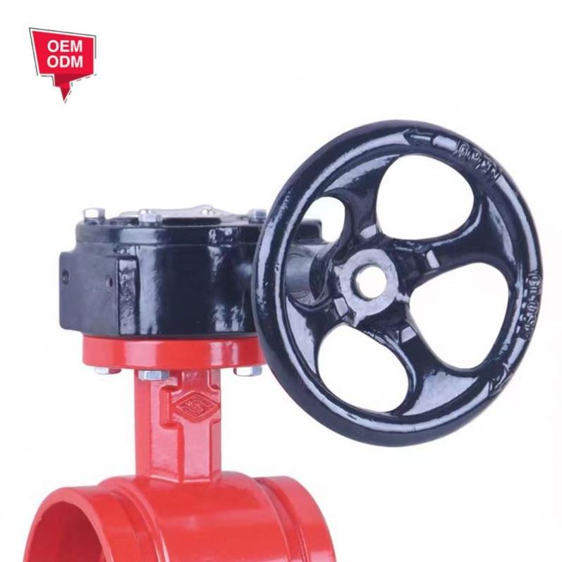 Soft Seal Resilient Seated Cast Iron Flange Type Stainless Steel Grooved Gate Valve