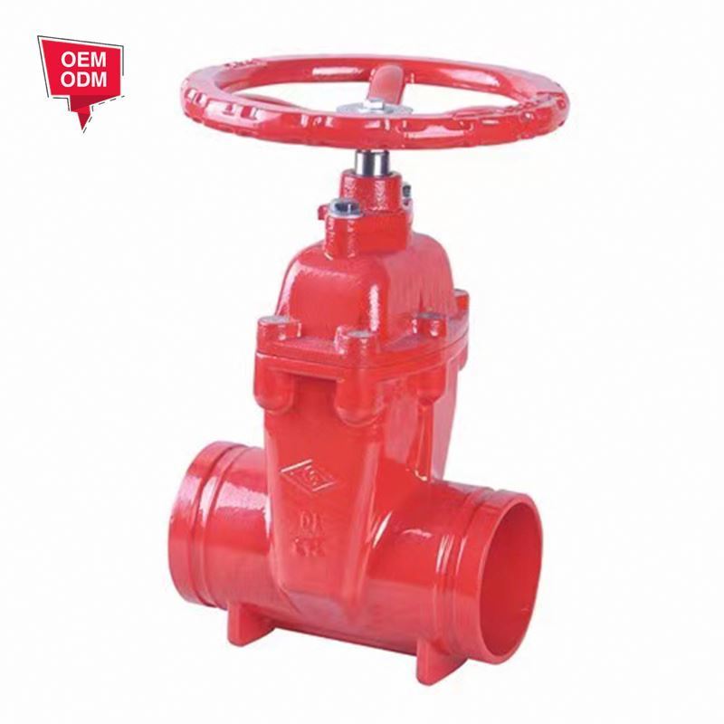 Soft Seal Resilient Seated Cast Iron Flange Type Stainless Steel Grooved Gate Valve