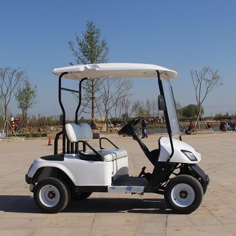 Factory Direct custom 2/4/6/8 seater off-road electric Golf cart High speed Mini 4 seater Golf Club car ATV Classic