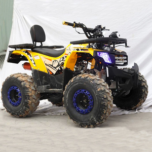 Stroke Mini Kids ATV 125cc Cheap Gas Four Wheeler for Kids CE 125cc 2 Automatic 36V Quad Pull and Electric Start