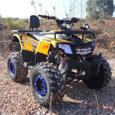 Ce 125cc 2 Stroke Mini Kids Atv Cheap Gas Four Wheeler For Kidsc With Ce